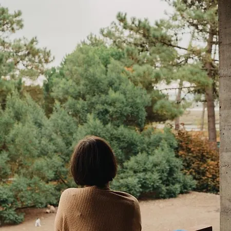 Parque Do Rio Ofir 4* 埃斯波森迪