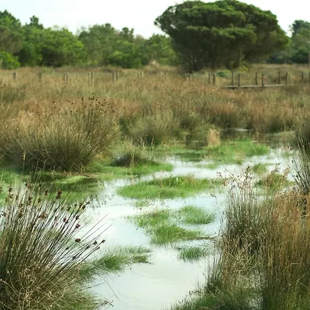 Parque Do Rio Ofir