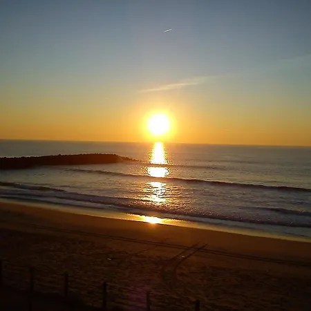 度假村 Parque Do Rio Ofir 4*