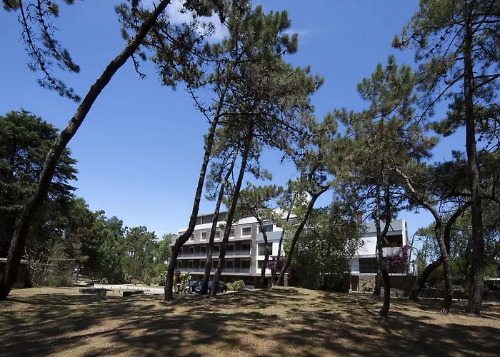 Parque Do Rio Ofir Semesteranläggning (resort)